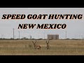 NEW MEXICO PRONGHORN ANTELOPE HUNT