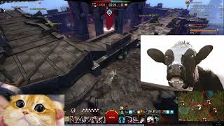 GW2│I INVESTIGATED The Thief WvW Sword 2  EXPLOIT to see if it was fixed. This is What I've Found...