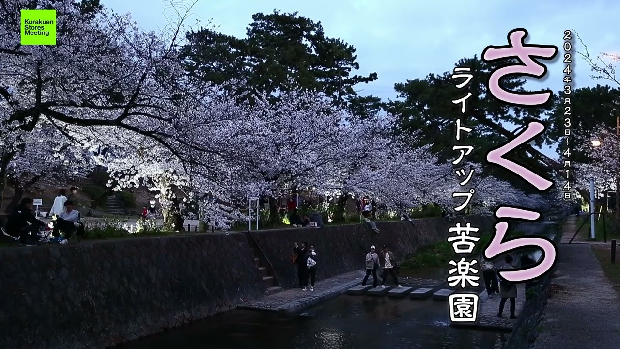 【KSM通信】さくらライトアップ苦楽園【伝像ラボ公式】