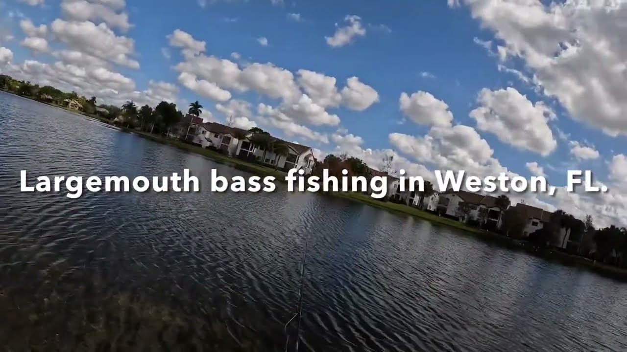 Largemouth bass fishing in Weston, FL.