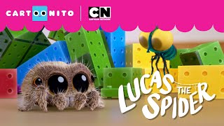 The New Robot | Lucas the Spider | Cartoonito
