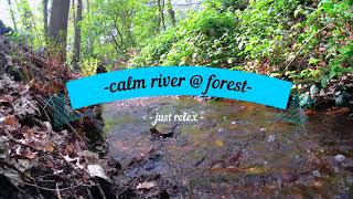 ASMR calm river @ the forest