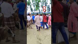 Stop Now mdjunaed funny