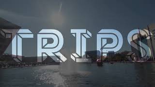 Trips - Music Visualizer