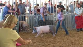 Lawrence Co. Fair Ohio  4H & FFA Market Hog Show