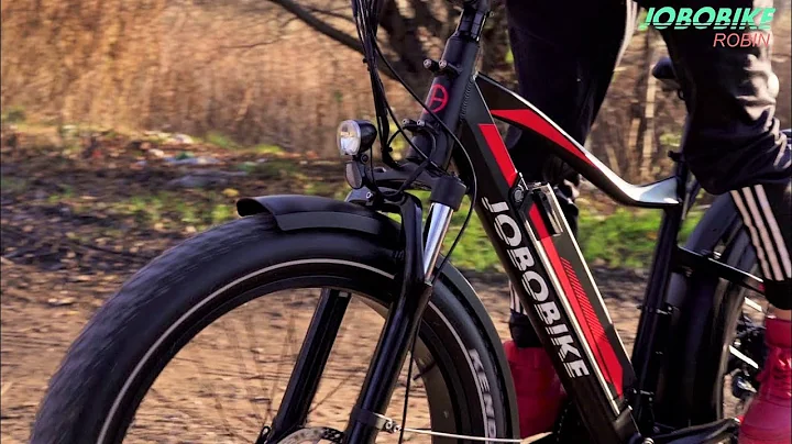 JOBOBIKE ROBIN - fat electric bike - e-bike with r...