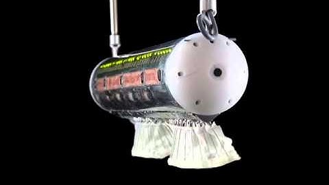 Ghostbot fin motions