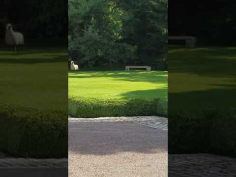 Video: Kev Nkag Siab Golf Wedges (Pitching, Gap, Sand, Lob)