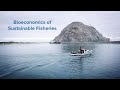 Bioeconomics of Sustainable Fisheries