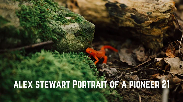 Alex Stewart Portrait of a Pioneer 21 - AUDIO BOOK