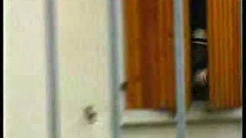 Chi è la moglie di Lucio Battista?