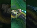 Braum at his peak. 🧗 #leagueoflegends #riotgames #leagueofmemes #braum #gamer #lol #camiil0l