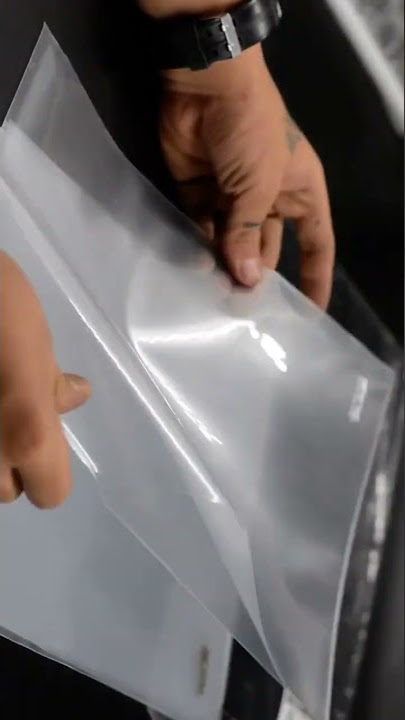 Folder File   Clear File Pocket Folder Shorts