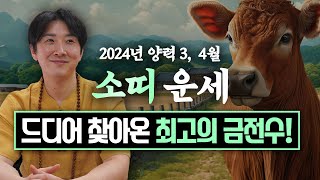 2024년 갑진년 양력 3, 4월 소띠 운세 / 두 번 다시 없을 최고의 …