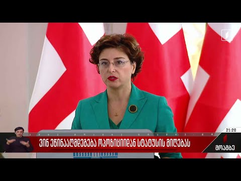 ვინ ეწინააღმდეგება ოპოზიციიდან სტატუსის მიღებას