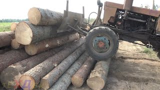 T40 Good in Forest !!!? winch, shovel, 20 cubes of logs easy, 4x4