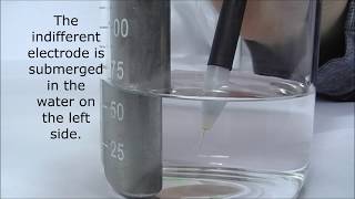 Fast Blend - Experiments With Blend Electroepilation Settings In Saline Solution And Egg White