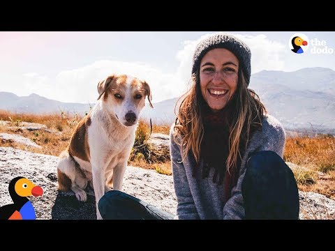 Videó: Amazing Woman Travels 1,652 Miles és több mint 1000 dollárt fizet meg a 100 kutya megmentésére Yulin húspiacáról