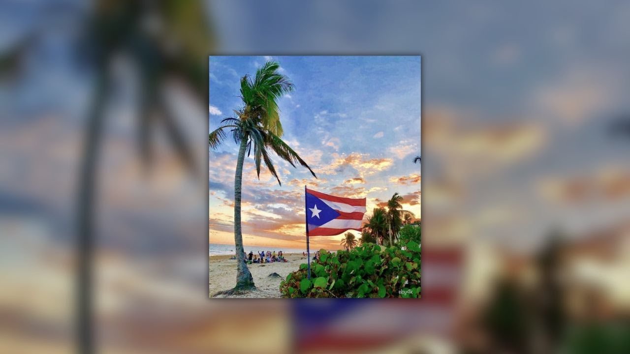 DtMF - bad bunny (debí tirar más fotos) | speed up