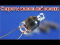 Скрытые ОСОБЕННОСТИ маленьких Неоновых Лампочек