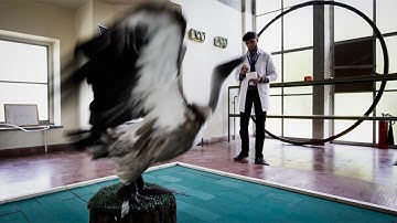 2020 Earth Water Sky Residency winning artist Haseeb Ahmed