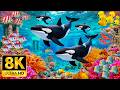 Peaceful Under Ocean Creatures in 8K HDR | Dolby Vision™