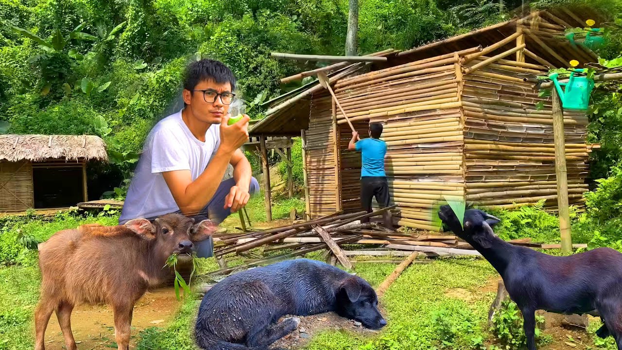 FULL VIDEO 100 days From CEO to Farmer – A New Beginning | Mike Green Life