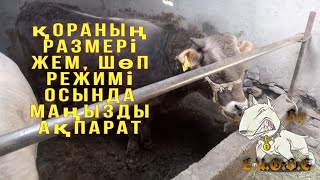 :      
