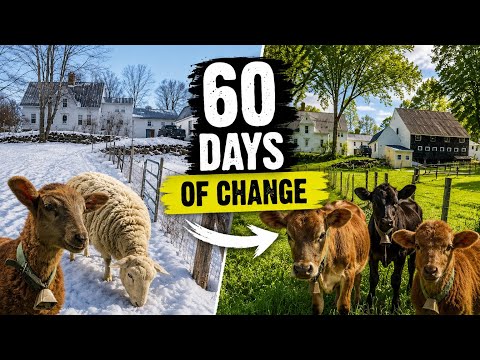 North Platte Craigslist Farm And Garden
