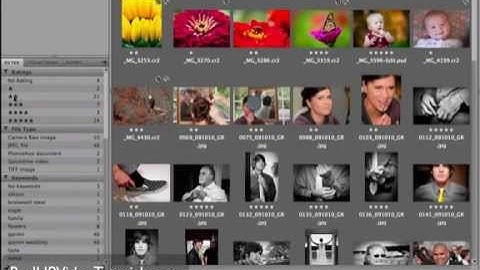 Tutorial: Adobe Bridge CS5 For Beginners Lesson 1