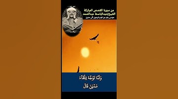 تلاوة نادرة من سورة القصص بصوت عبد الباسط عبد الصمد