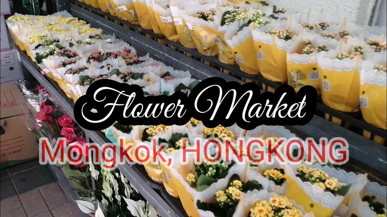 FLOWER MARKET MONGKOK, HONGKONG MHAI HK YouTube