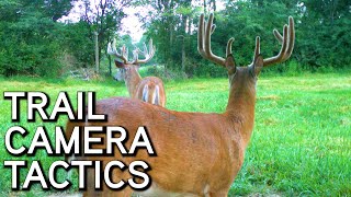 Famous Trail Camera Tactics | When and Where to Hang them Profile