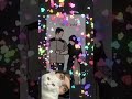 #like #viral