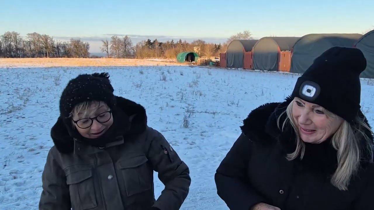 260107 galgos thalmässing hi