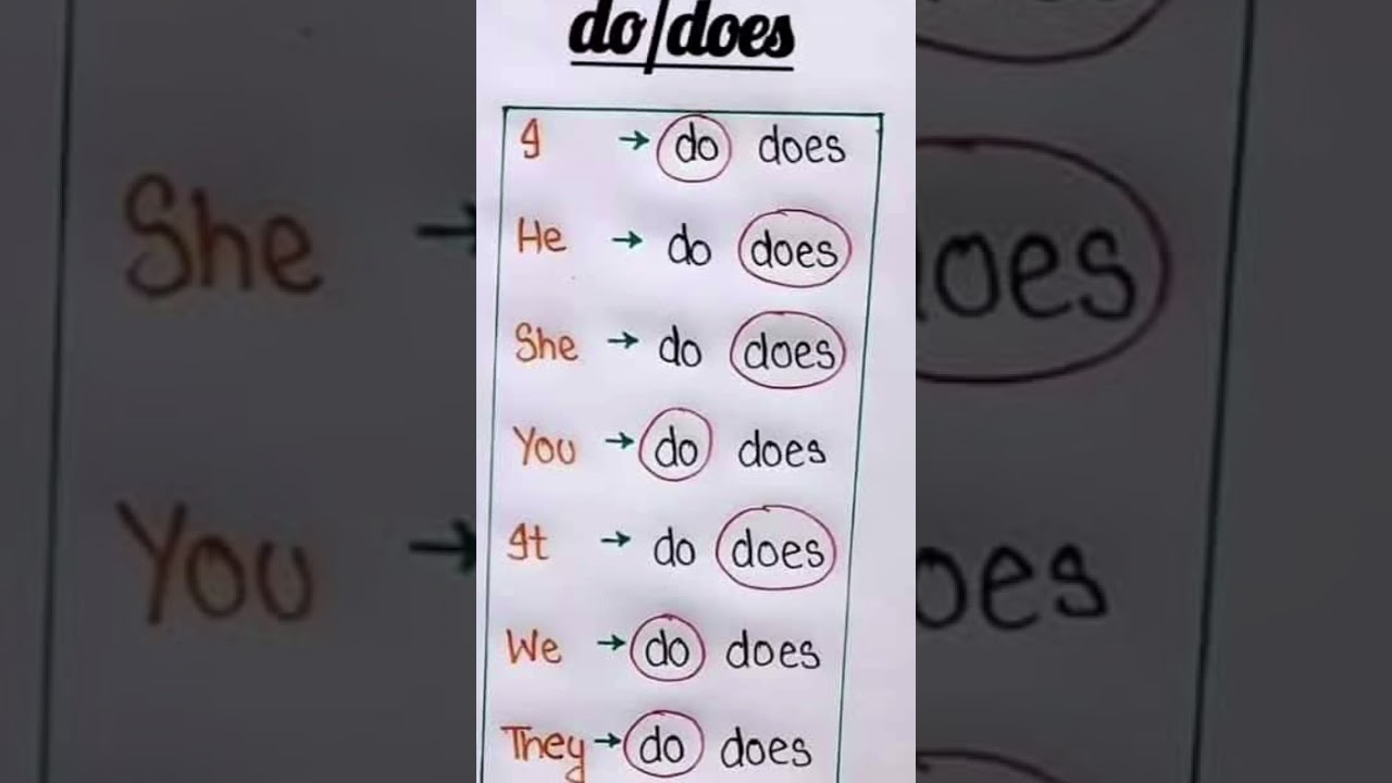 Use Of Do and Does | Basic English language grammar |