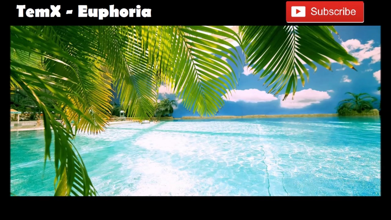 TemX - Euphoria