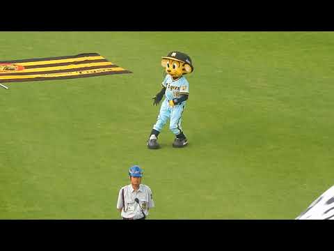 阪神タイガース2018/トラッキーものまねで才木選手は？２次会スタメン１-9(2018.05.27)