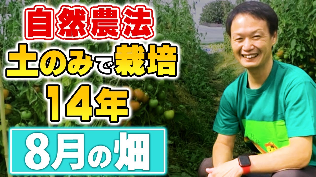 【自然栽培253】無肥料、無農薬だからこそ豊作！土の力を引き出そう！