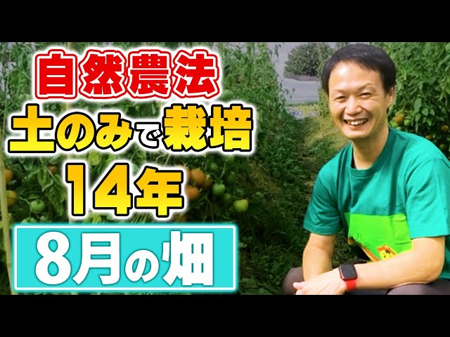 自然栽培253】無肥料、無農薬だからこそ豊作！土の力を引き出そう