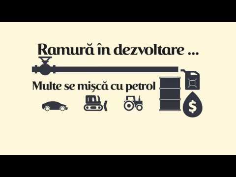 Video: Cine deținea Petron?