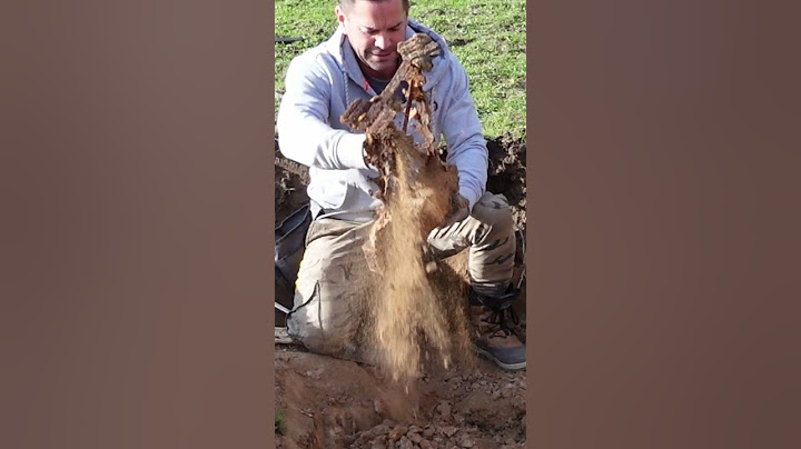Waffenlager der Wehrmacht entdeckt
