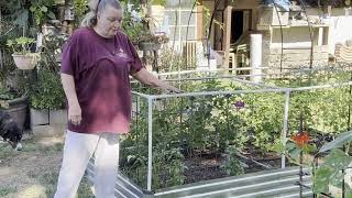 A day (or 2) of Homestead Chores. Gardening with a job. Zone 9b Madera, CA. Gardening on 2/3 Acre