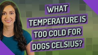 What temperature is too cold for dogs Celsius?
