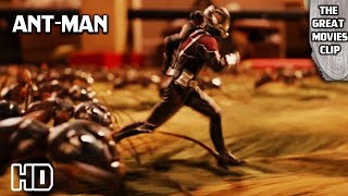 Shrinkage Assault Clip  -  ANT-MAN Movie  I  Marvel SUPERHERO Movie