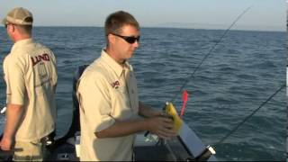 Trolling Lake St. Clair for Walleye