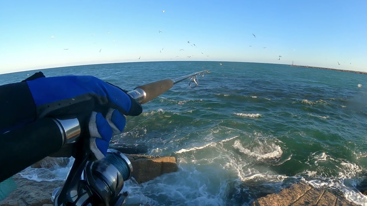 Fishing Port Mansfield , Texas , Jetties Redfish Addition Big Schools