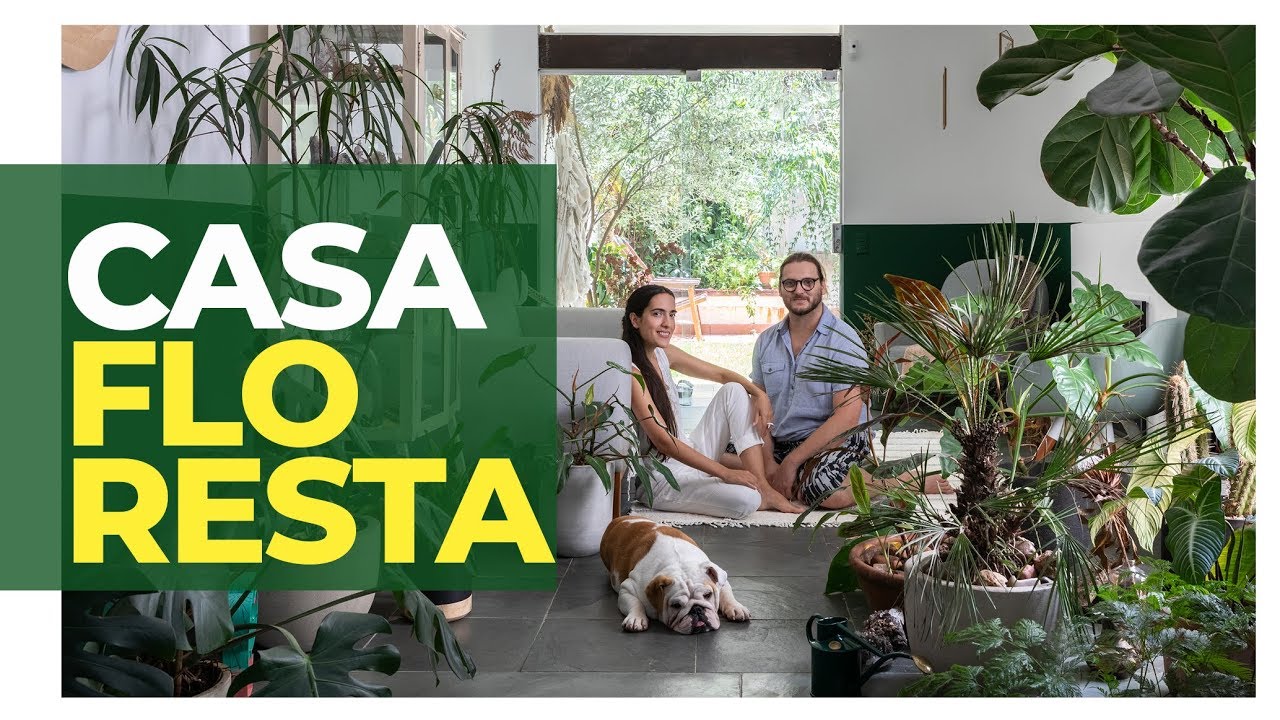 Floresta urbana: 8 formas como plantas podem melhorar sua casa