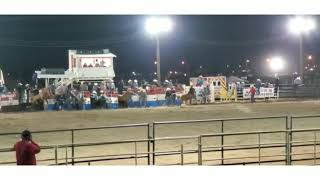 3 of a kind wild horse race...sacaton AZ fair 2020 YouTube Videos