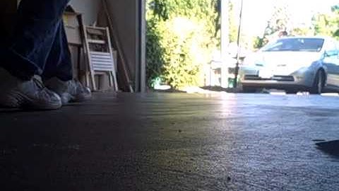 T-rex 250 hover test